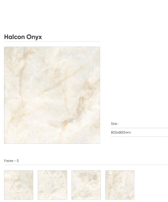 HALCON ONYX