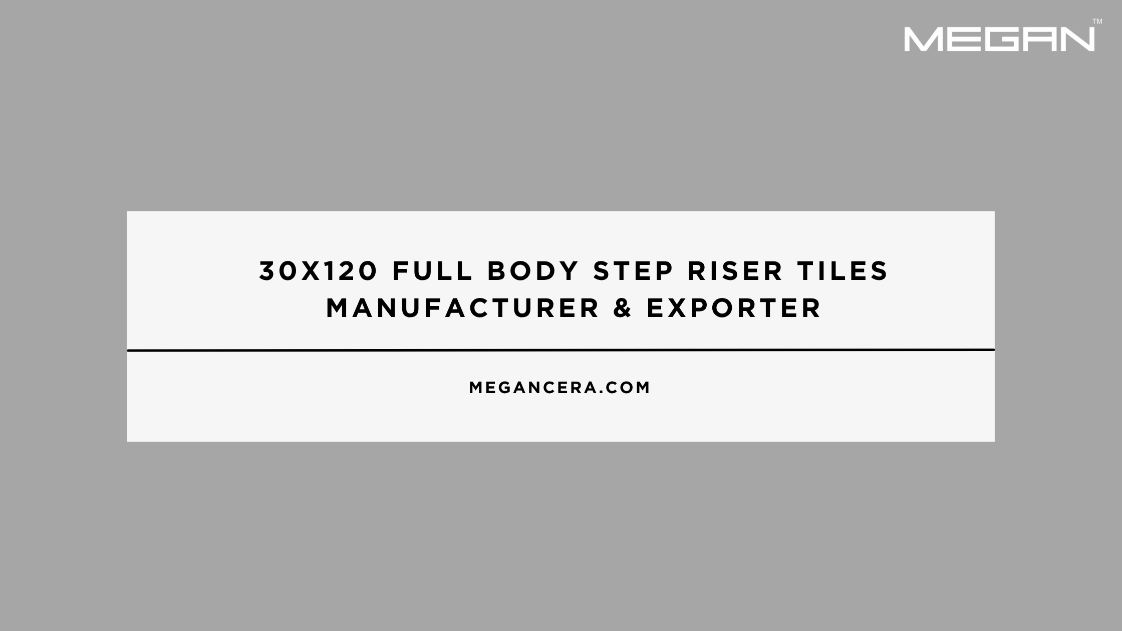30x120 Full Body Step Riser Tiles Manufacturer & Exporter